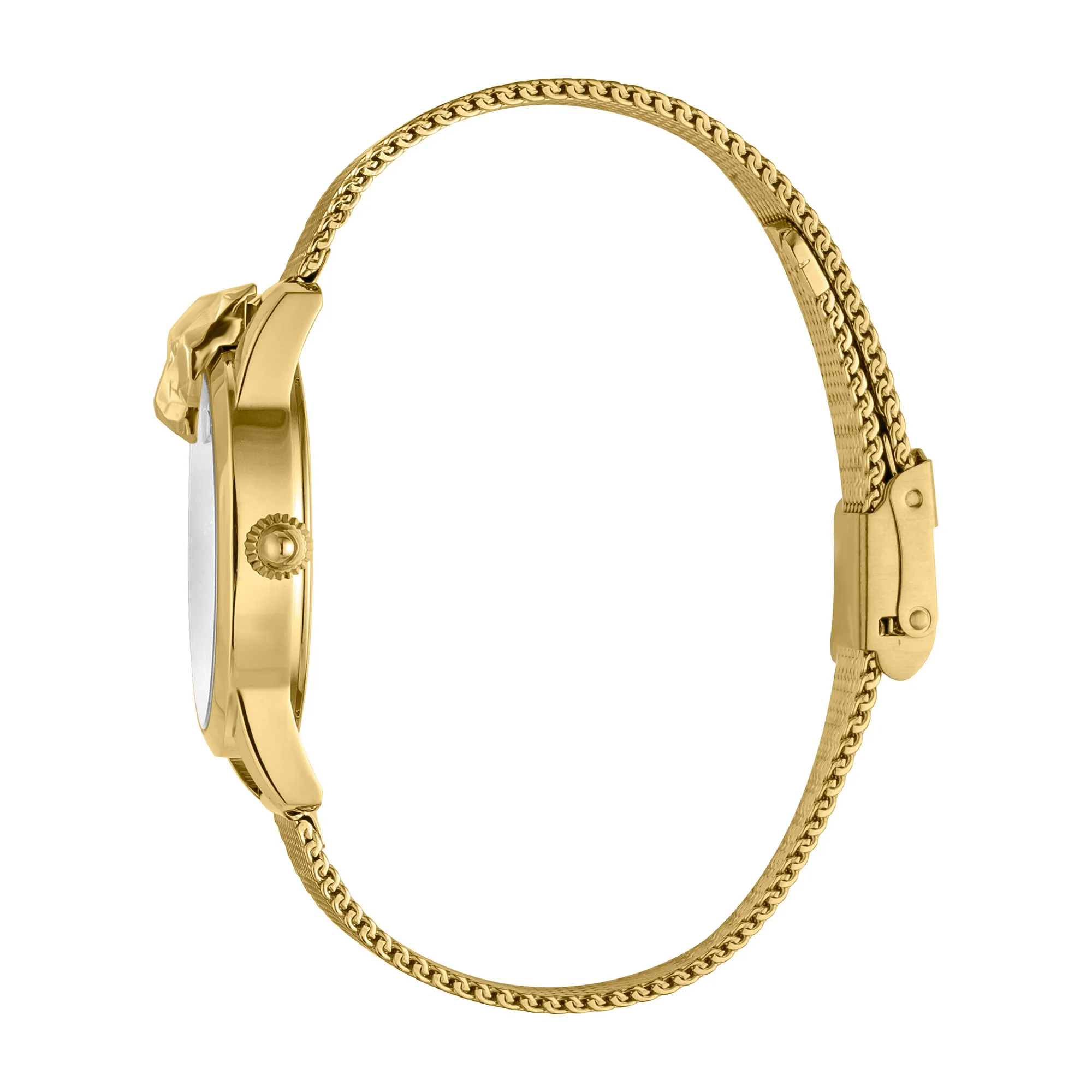 JC Shine 2 Yellow Gold - Image 2