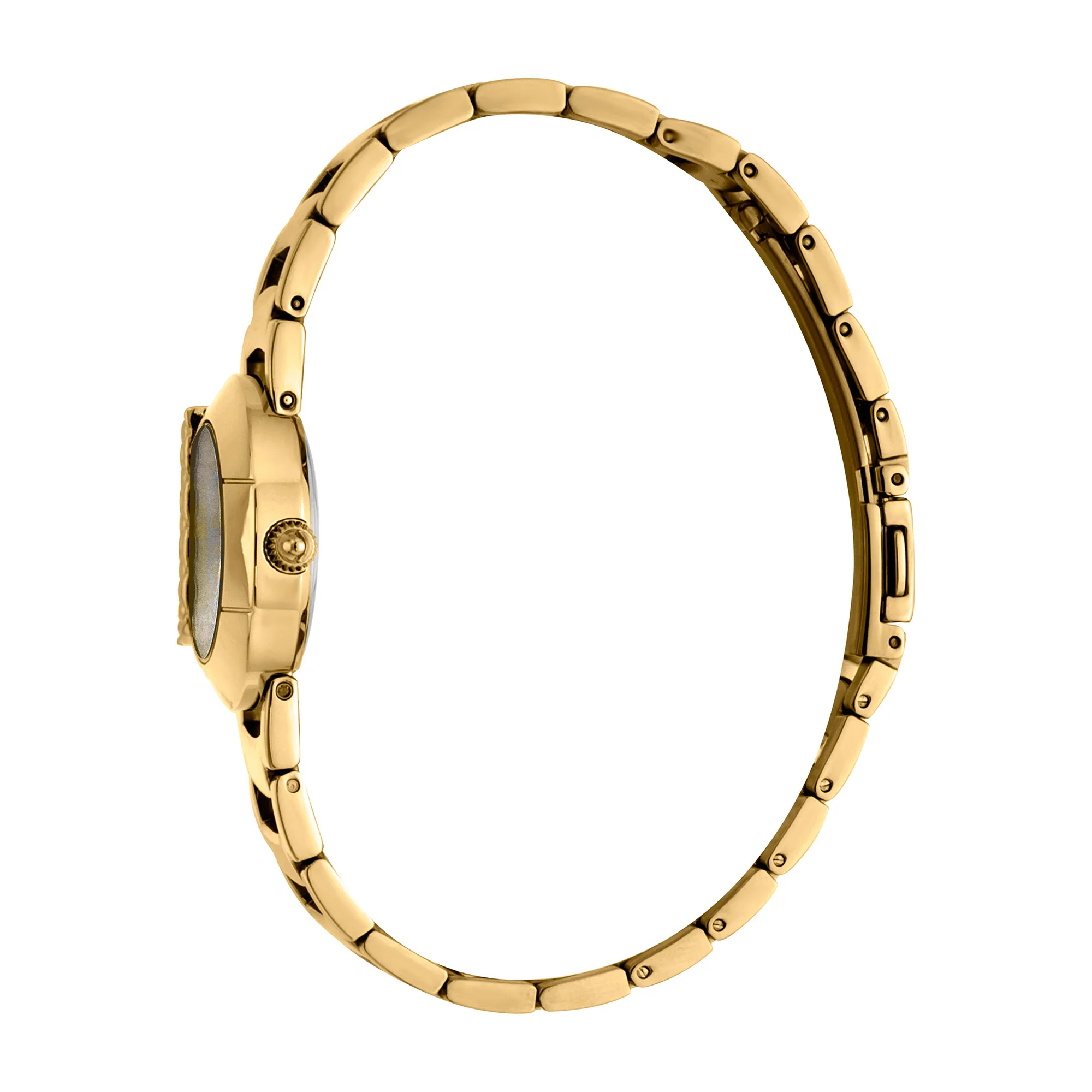 Steel Yellow Gold Zebra Glitter - Image 2